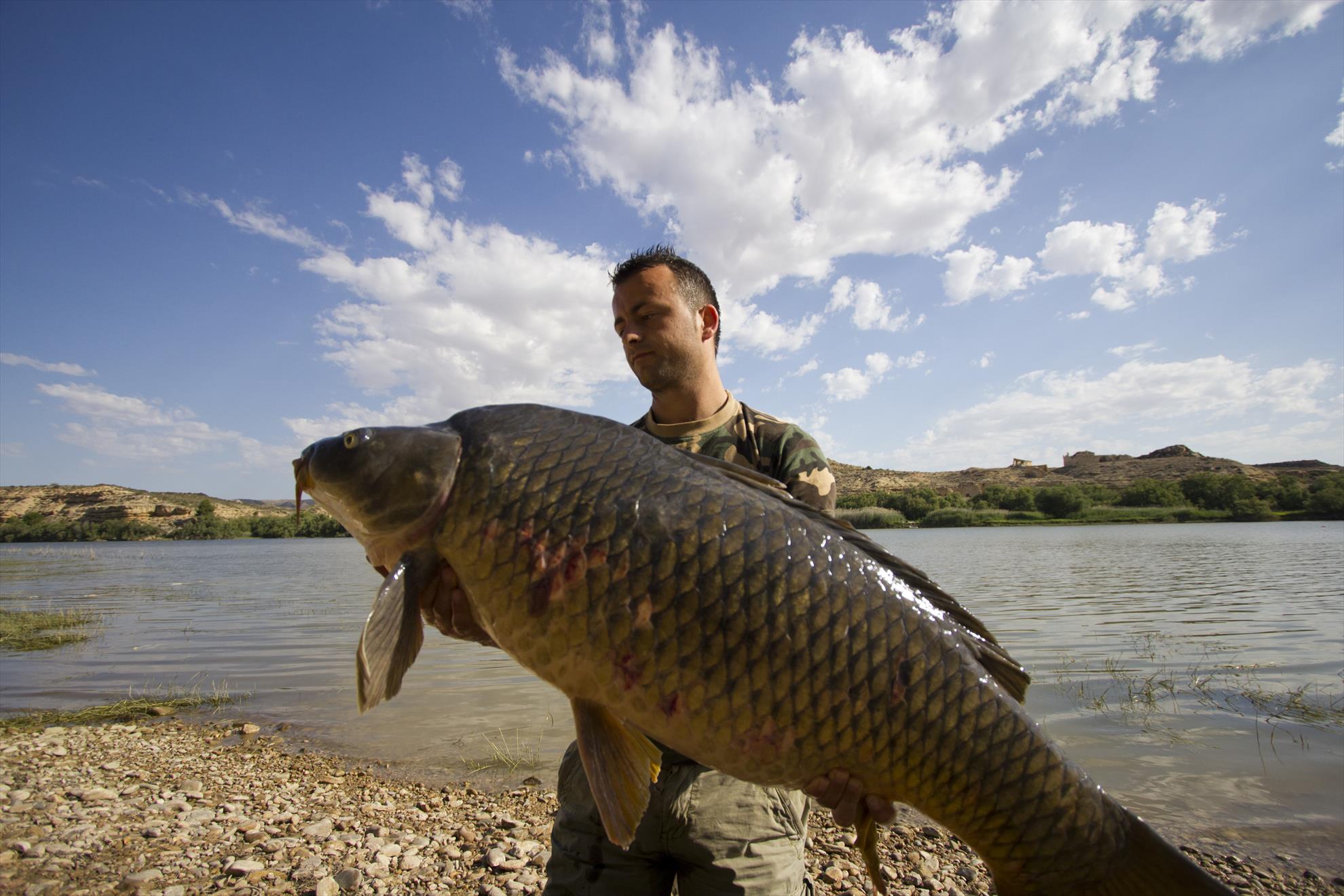 Carpfishing 2013 - mg3254.JPG